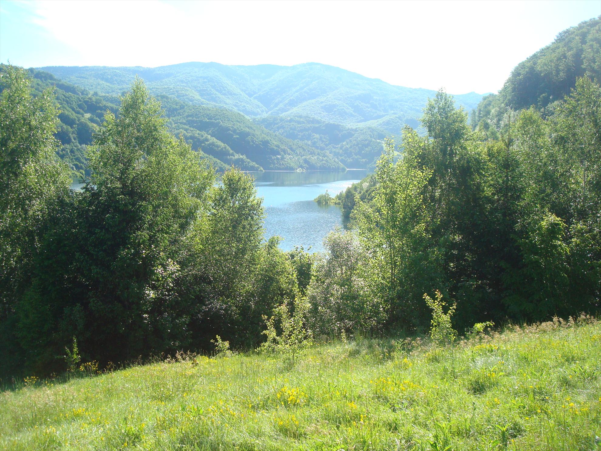 barajul Poiana Marului - dsc06082.JPG